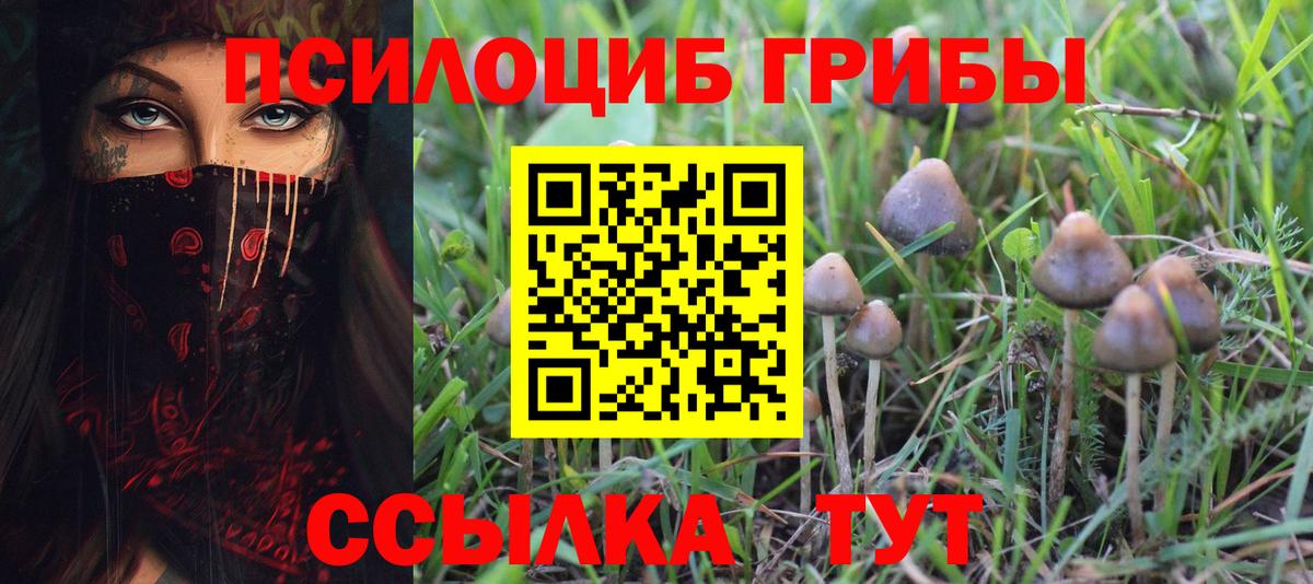 Добрянка  Псилоцибиновые грибы Magic Shrooms  Галлюциногенные грибы Cubensis  наркотики  Вход с VPN 